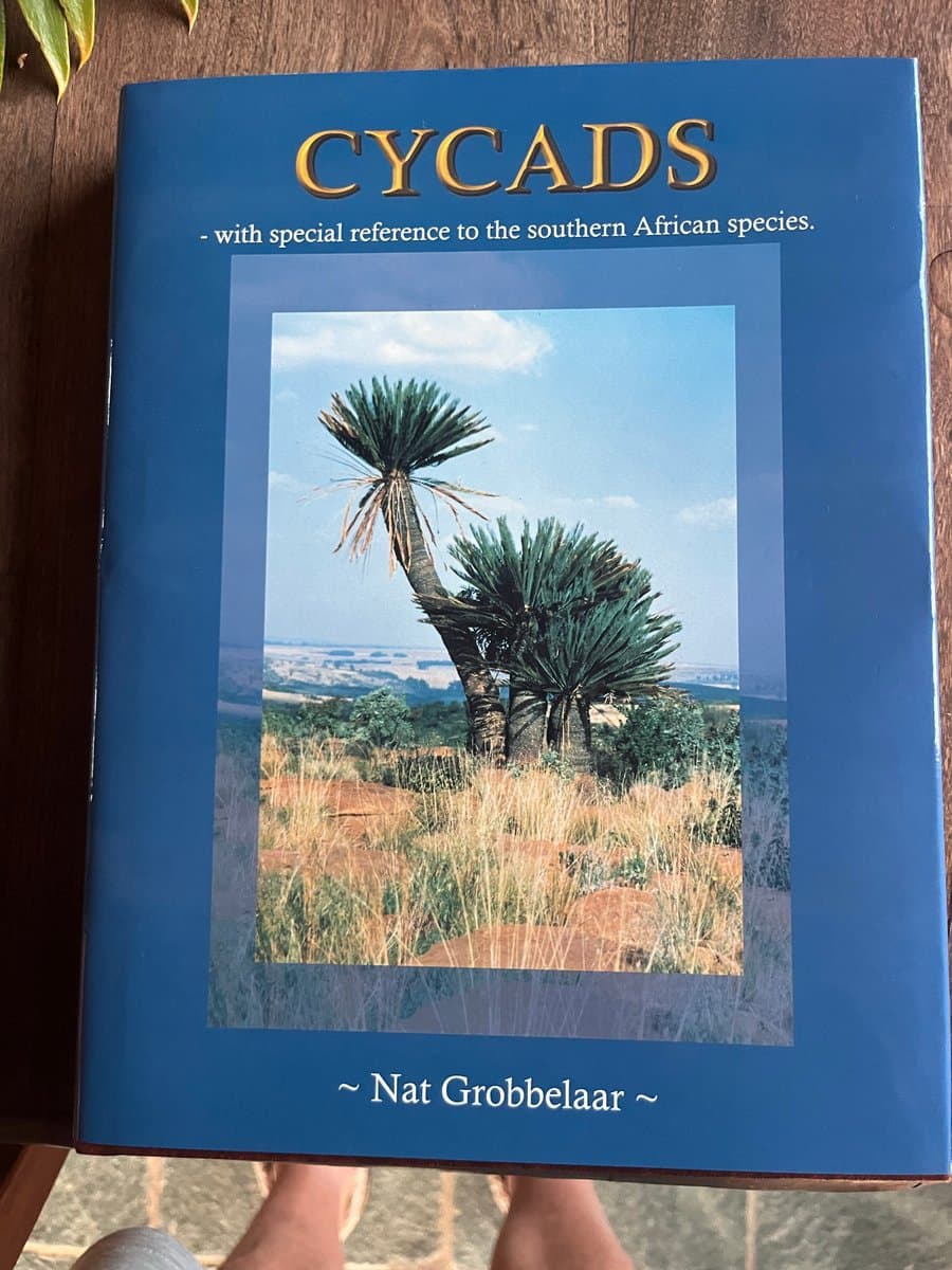 Nat Grobbelaar Cycads