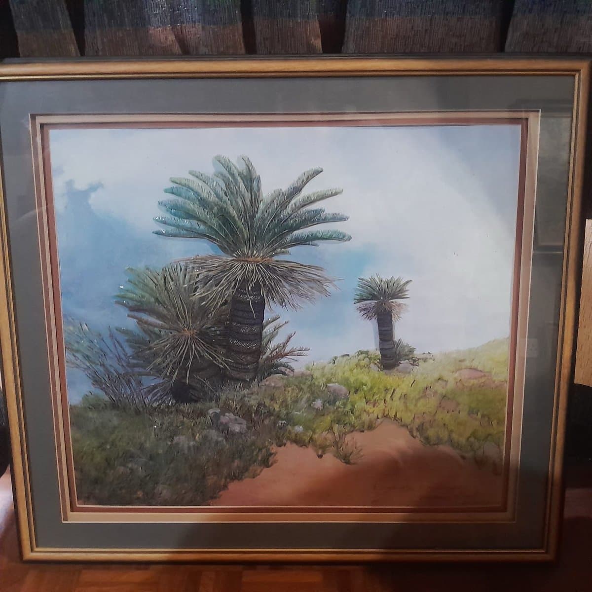 Encephalartos friderici-guilielmii