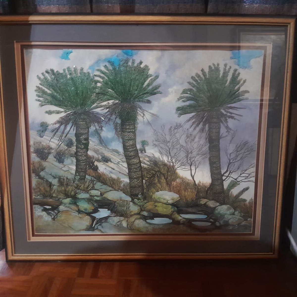 Encephalartos lebomboensis